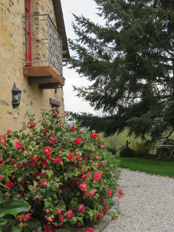 Ecrin De Verdure Sainte-Suzanne  Exterior photo